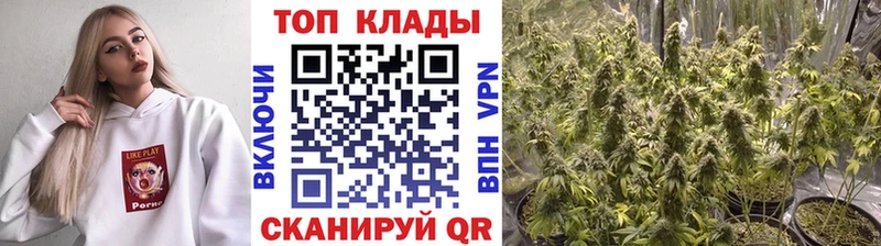 Alpha PVP Сочи