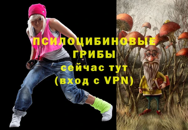 прущий лед Абаза
