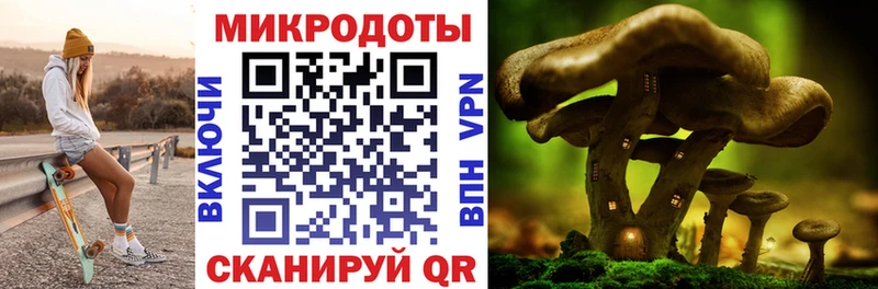 Галлюциногенные грибы GOLDEN TEACHER  OMG маркетплейс  Сочи 